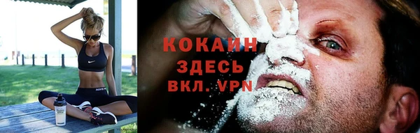 соль ск Абаза
