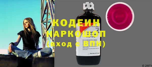 хмурый Алзамай