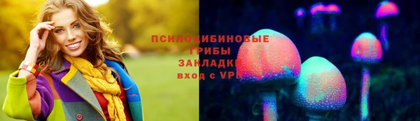 хмурый Алзамай