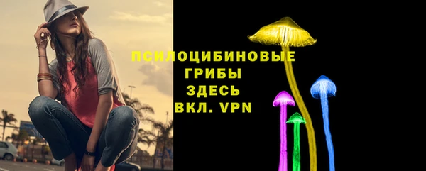соль ск Абаза