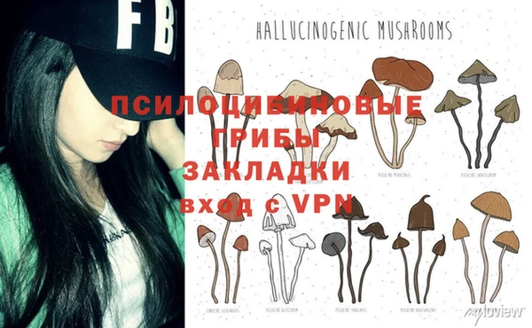 молекула духа Абинск