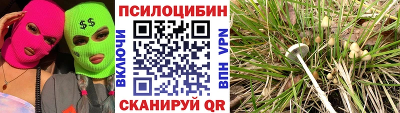 Галлюциногенные грибы прущие грибы  наркота  нарко площадка официальный сайт  Десногорск 