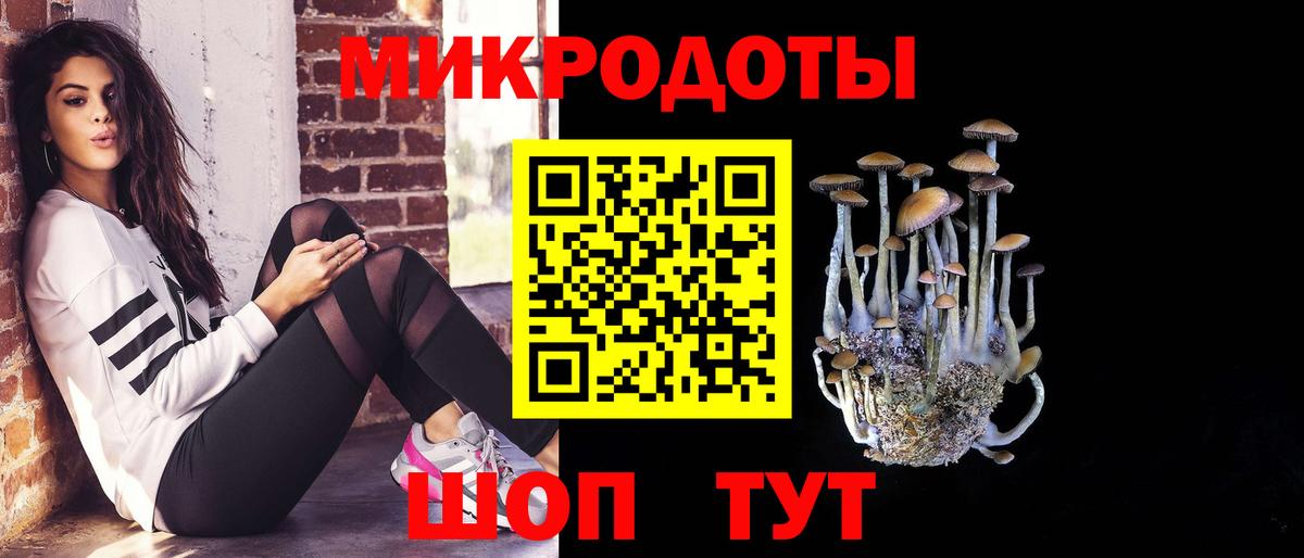 Десногорск  Галлюциногенные грибы GOLDEN TEACHER  купить закладку  Галлюциногенные грибы мухоморы  Вход с VPN 